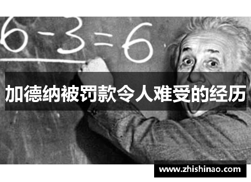 加德纳被罚款令人难受的经历
